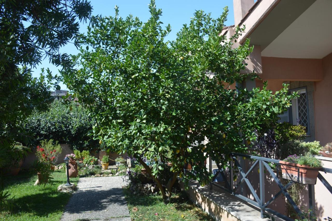 Casa de hóspedes L'oasi Delle Vigne