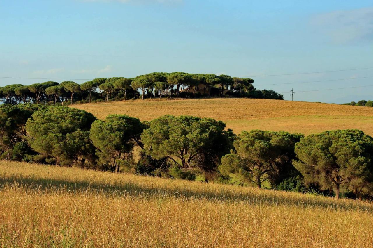 L'oasi Di Baal Pousada Roma