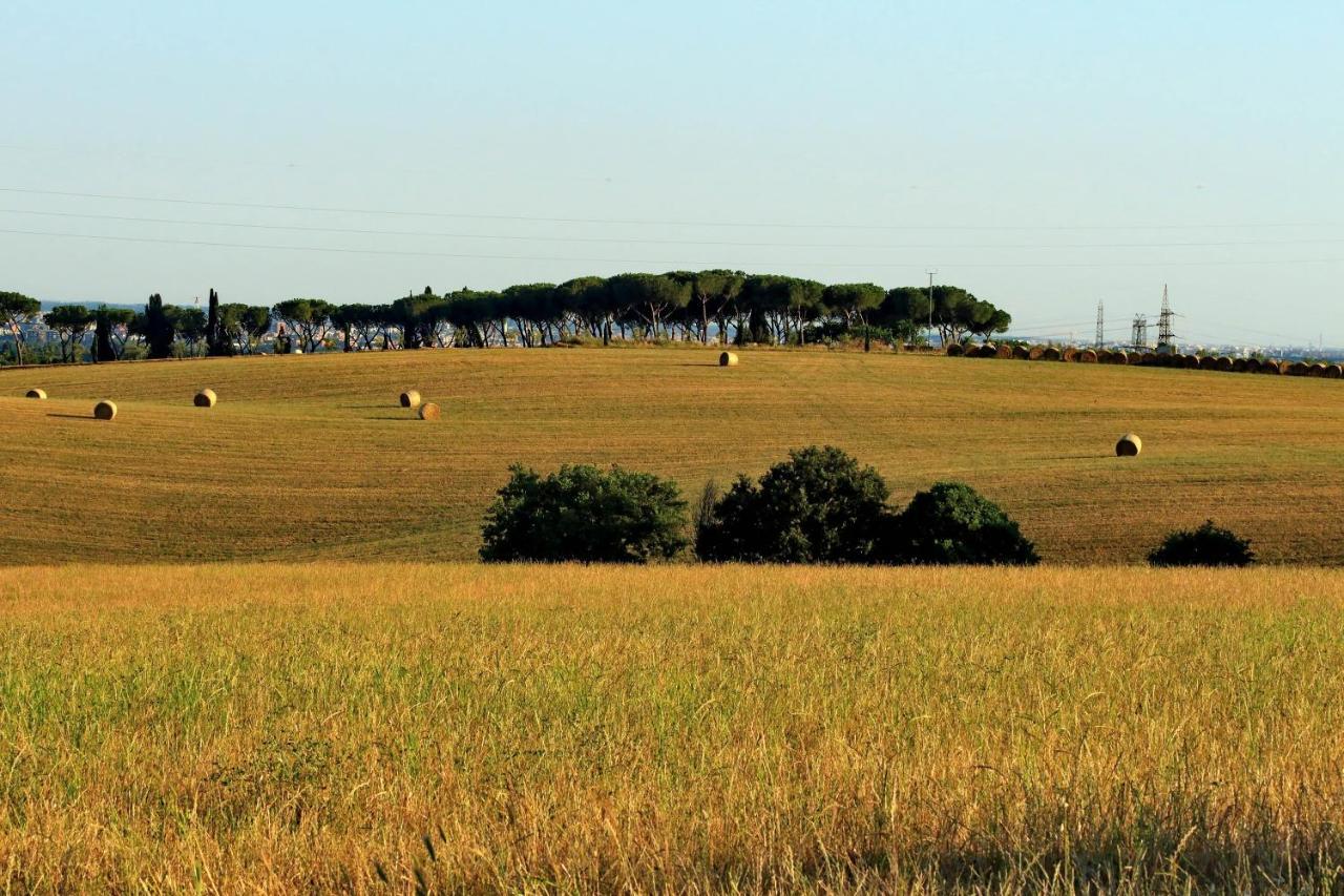 L'oasi Di Baal Pousada *