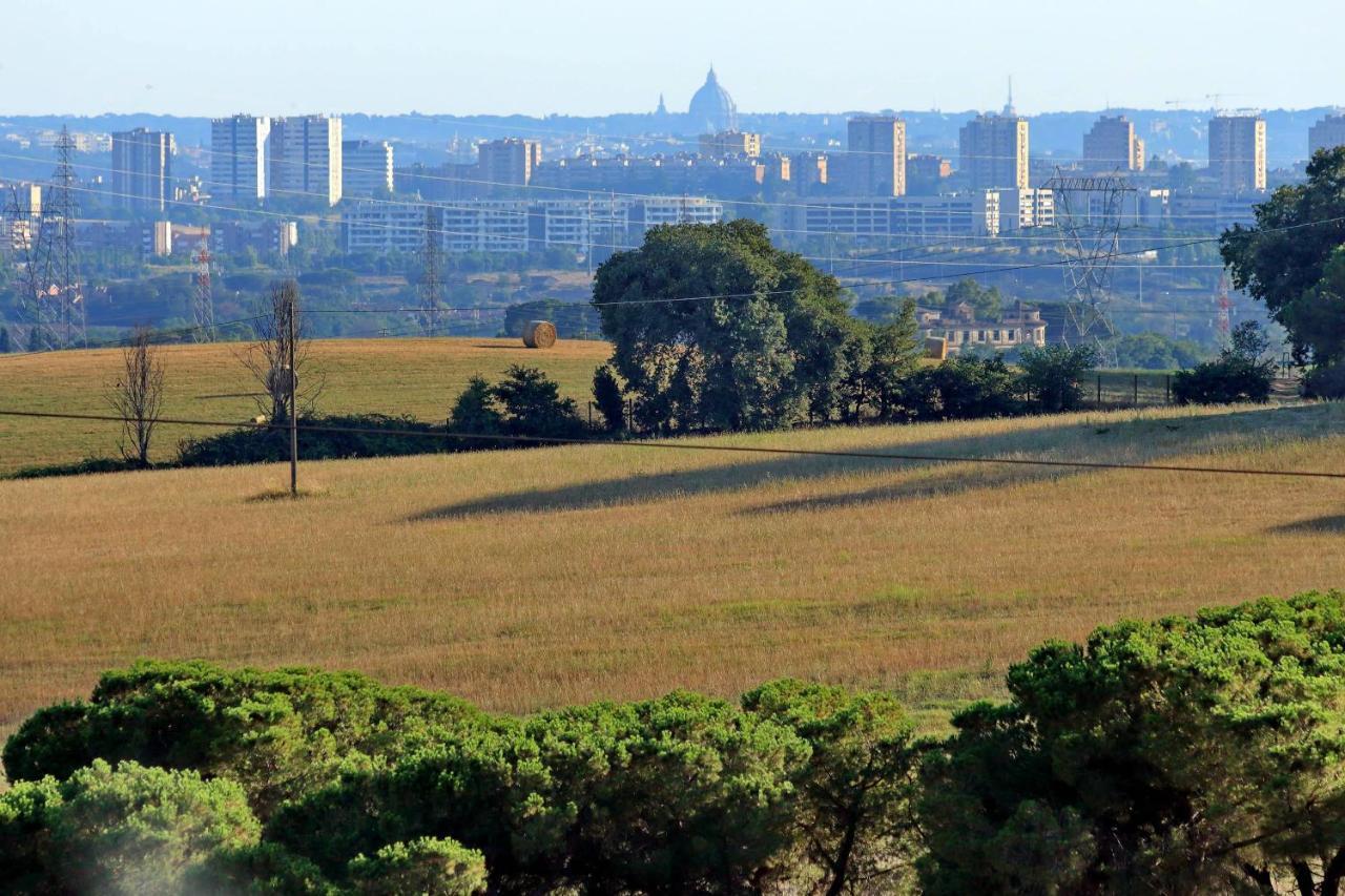 L'oasi Di Baal Roma