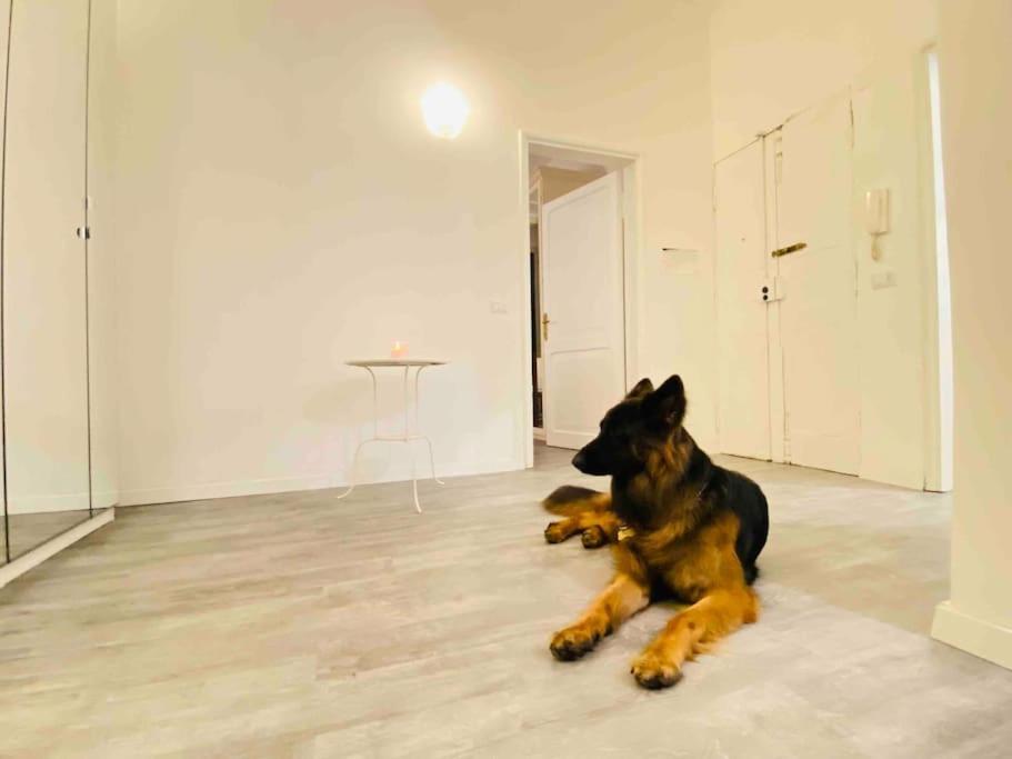 Apartment Mamisa Rome, Con Parcheggio Privato E Gratuito Rom