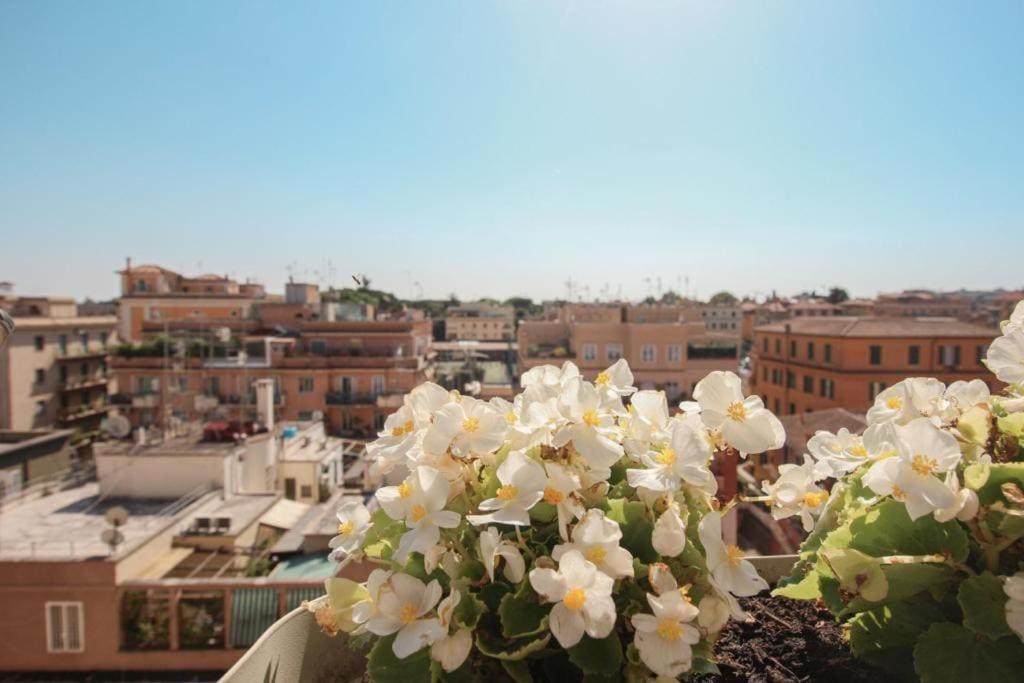 Attico Lucrino Panoramico Apartamento Roma