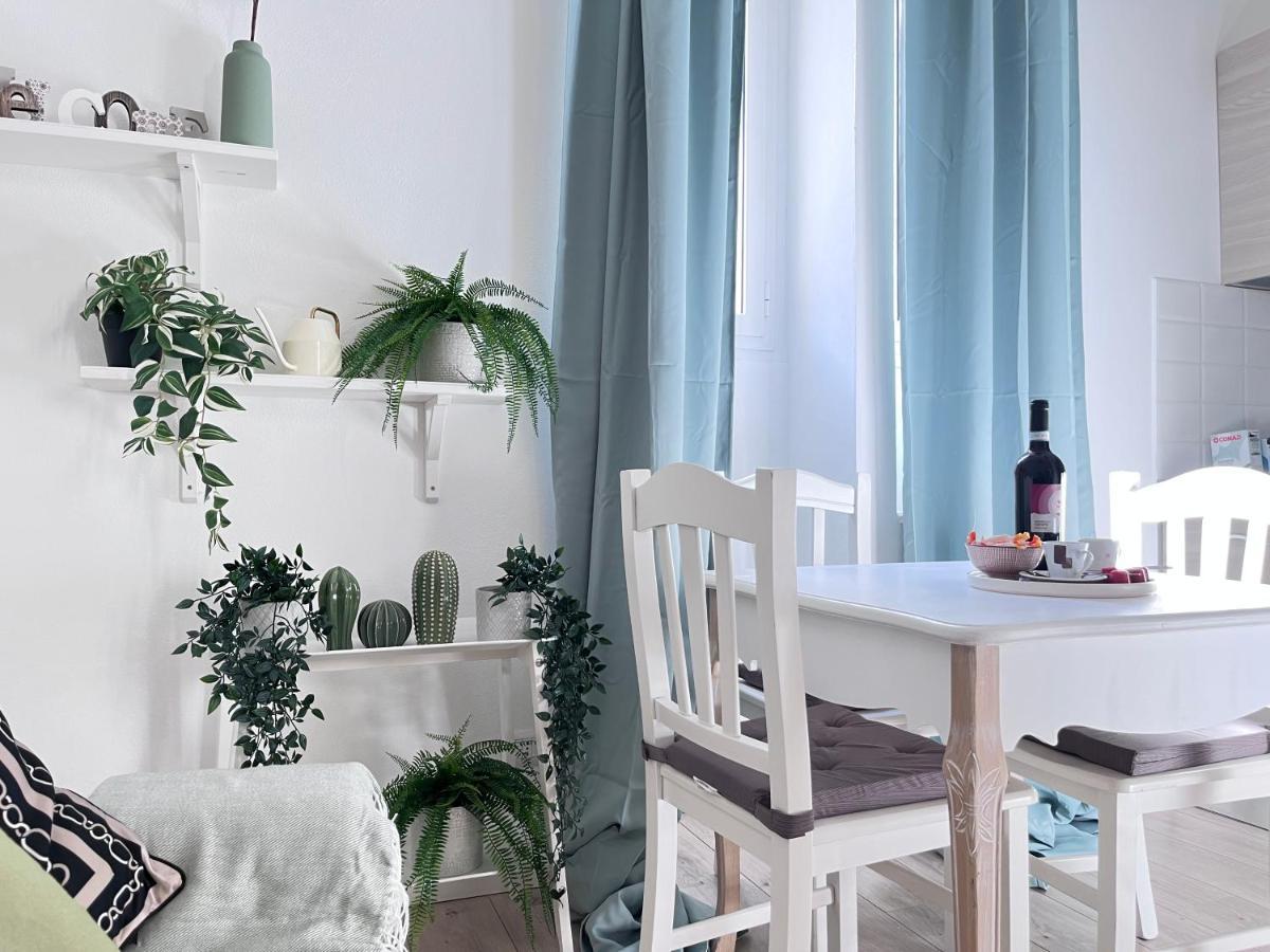 New In - Center Roma