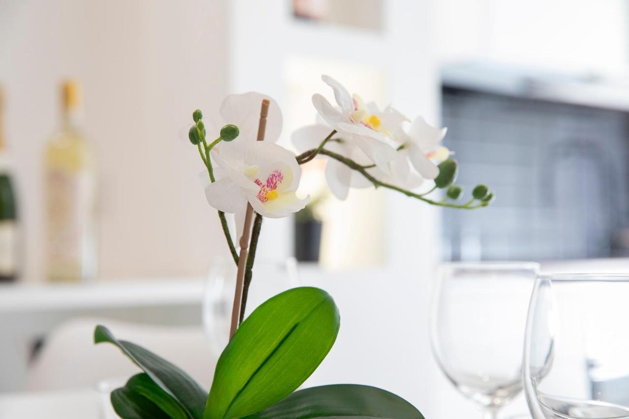 Apartment Elegant Statuario