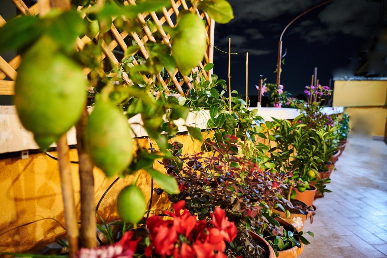 Terrace - Meospiti Penthouse Leilighet Roma