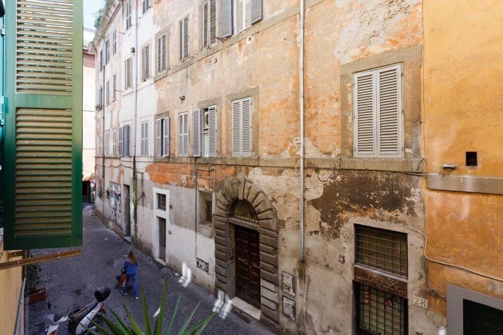 Navona 360 *