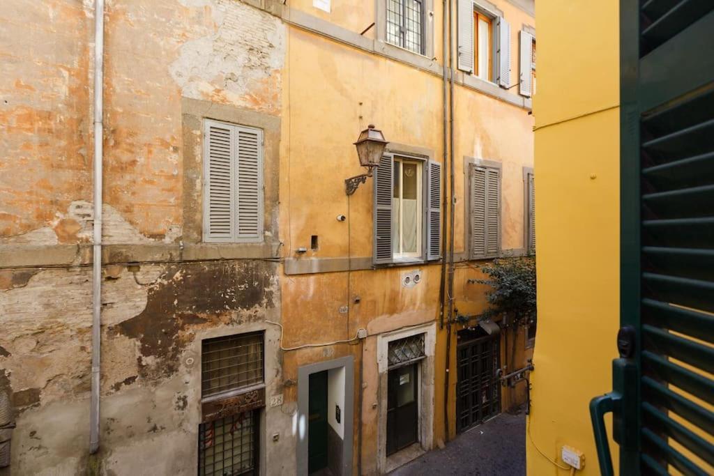 Navona 360 Roma