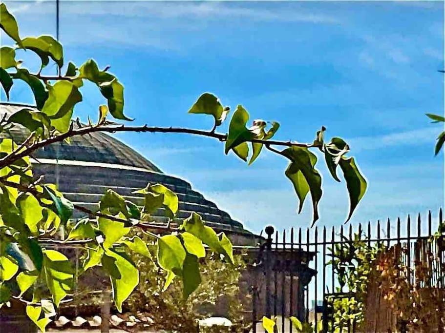 Attico Con Due Terrazze Al Pantheon, * Roma