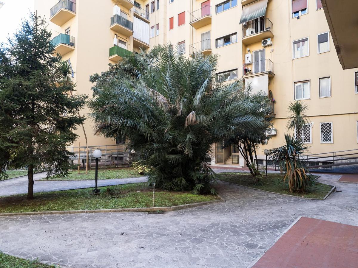 50 Apartamento