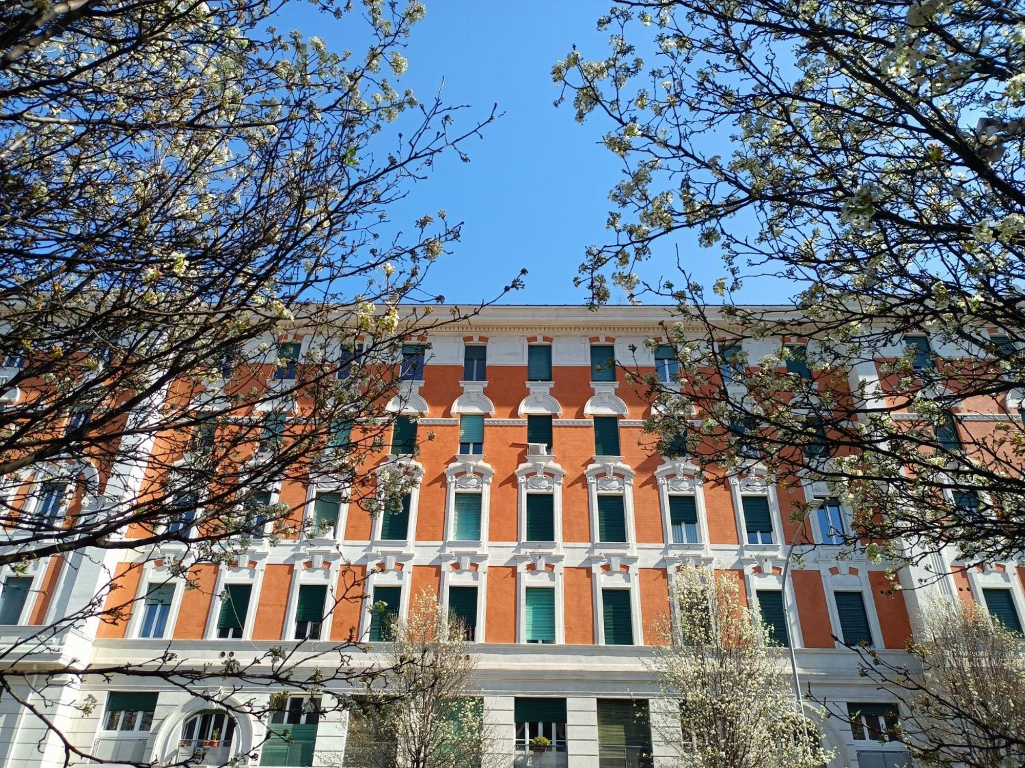 Eluta Holiday Apartment