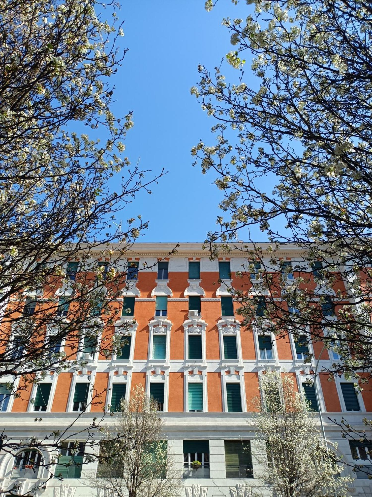 Eluta Appartamento Roma