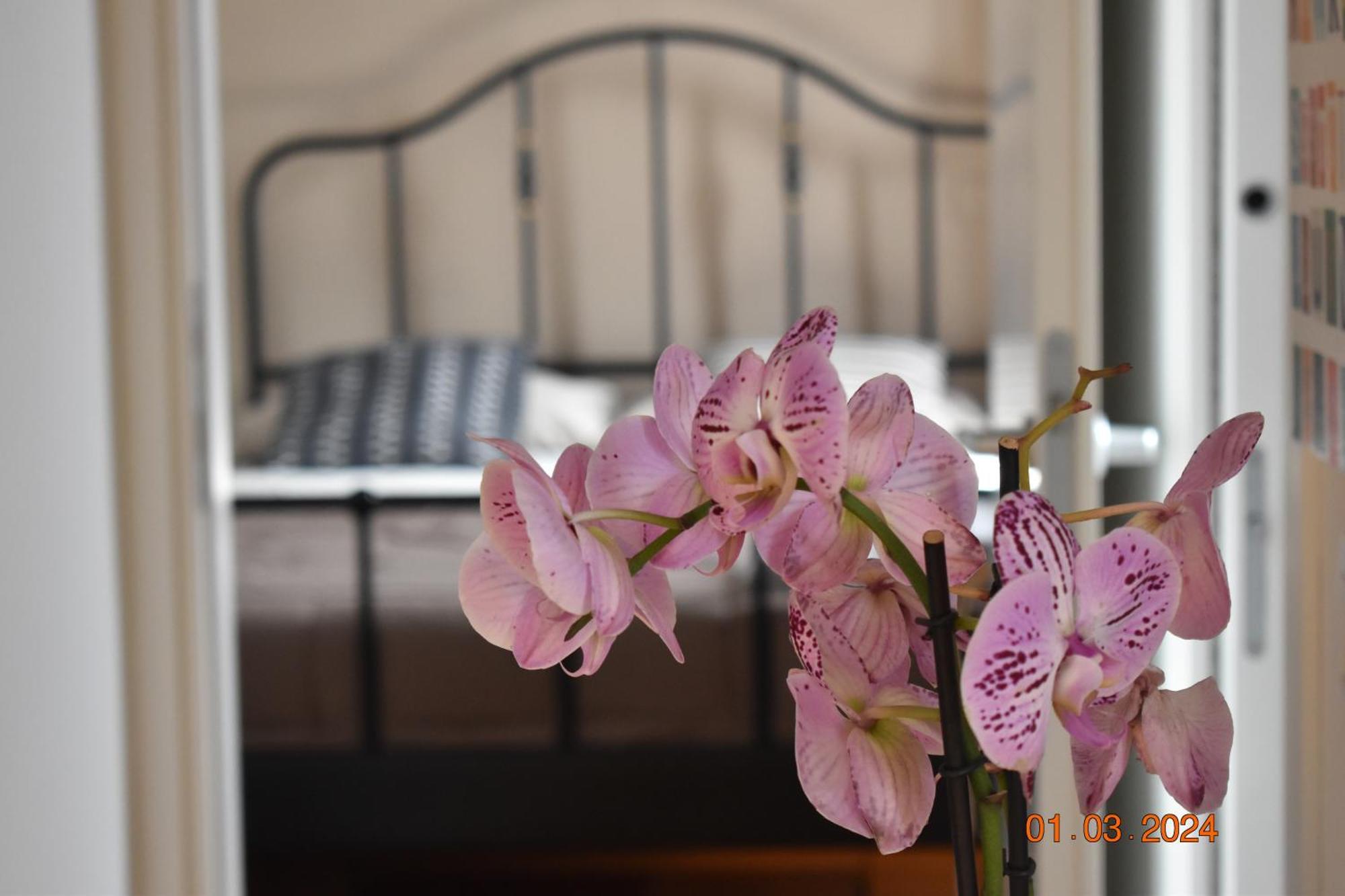 Appartamento Trastevere St Ariabianca House