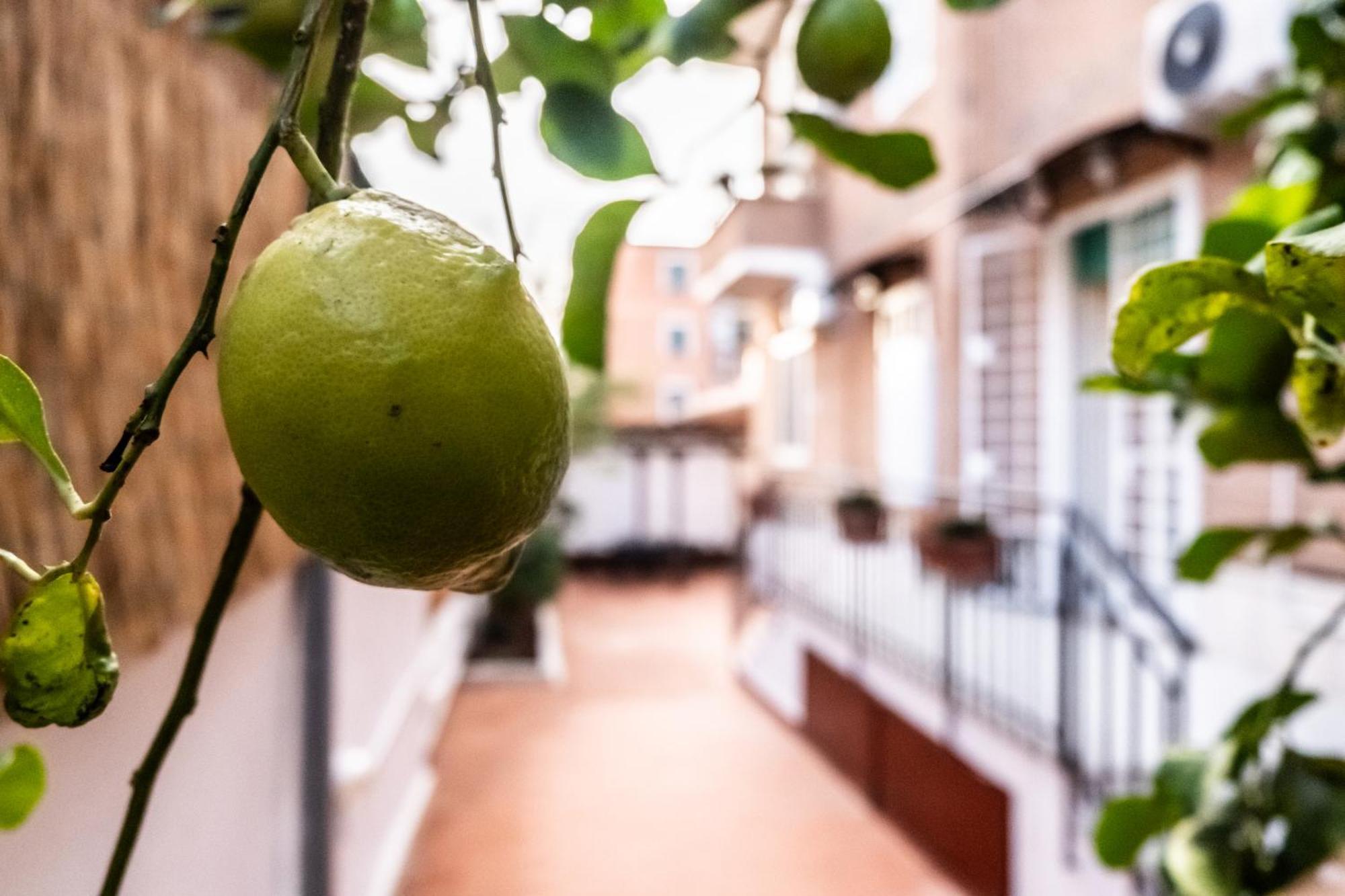 La Casupola - Gemelli Garden Appartamento