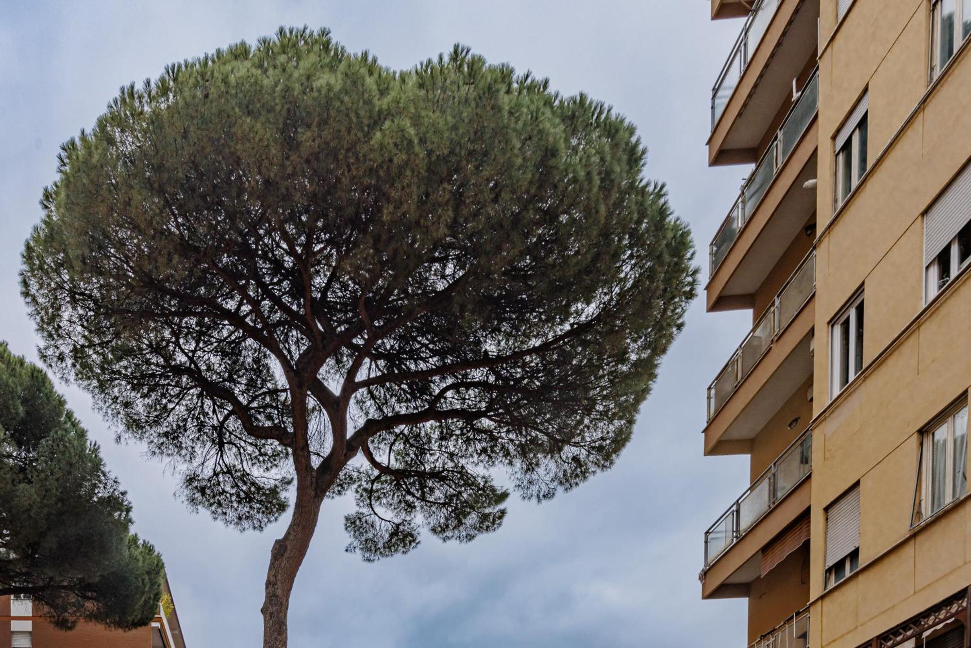Apartamento Pigneto Smart