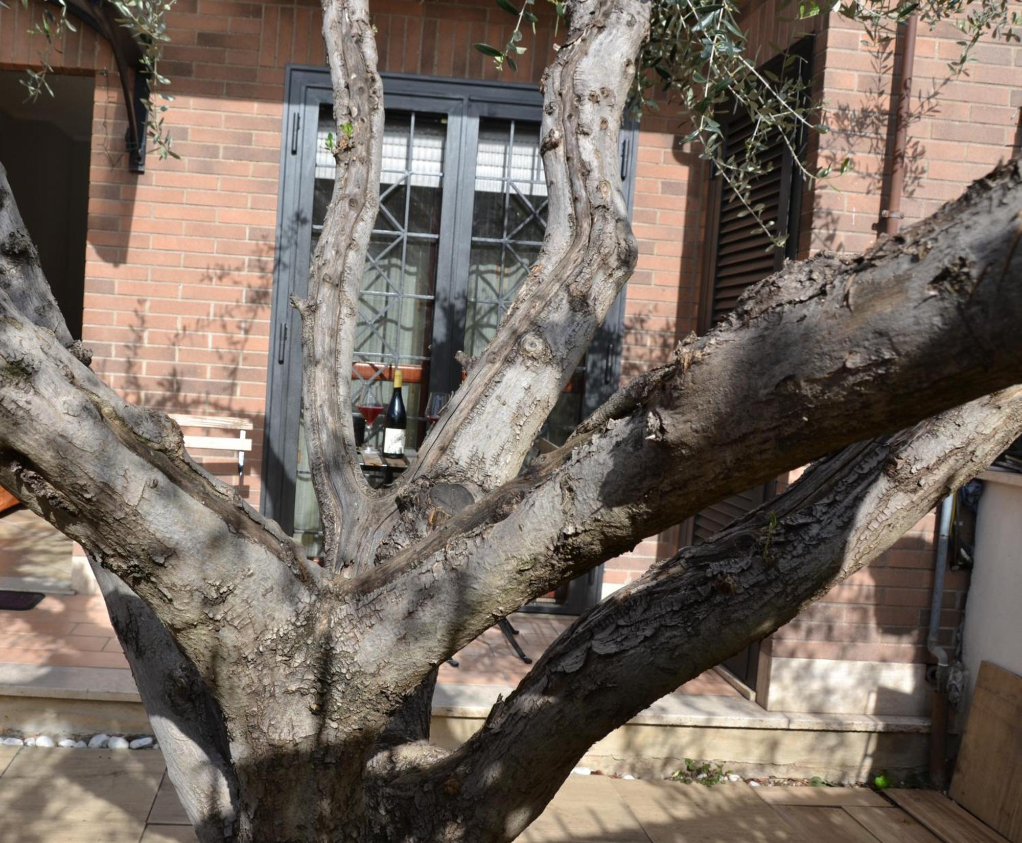 La Casetta Di Borghesiana Appartamento Roma