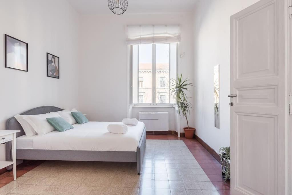 Apartamento New! Giulio Cesare *