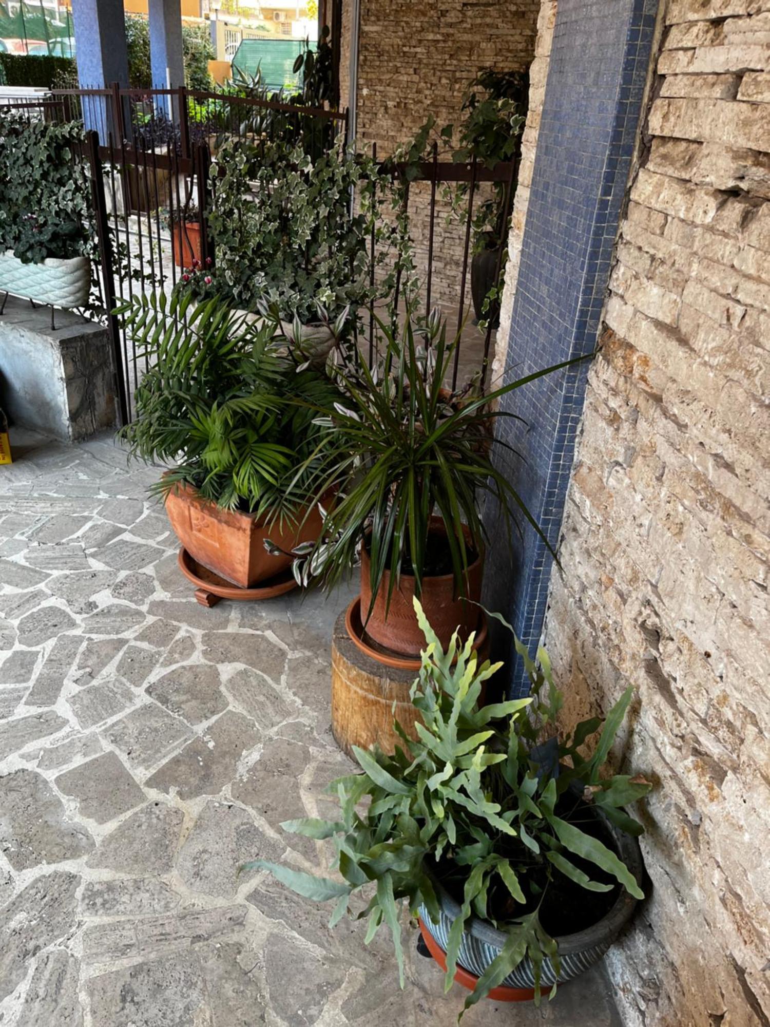 Casetta Romana Apartamento *