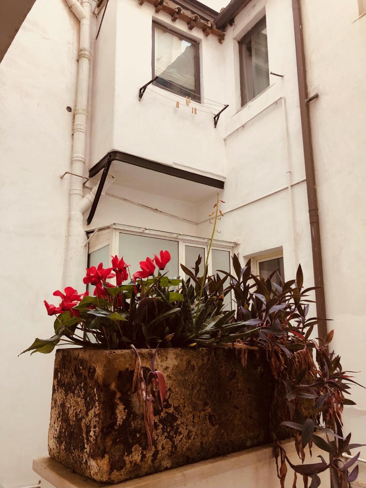 Campo De' Fiori Loft The Angeli's