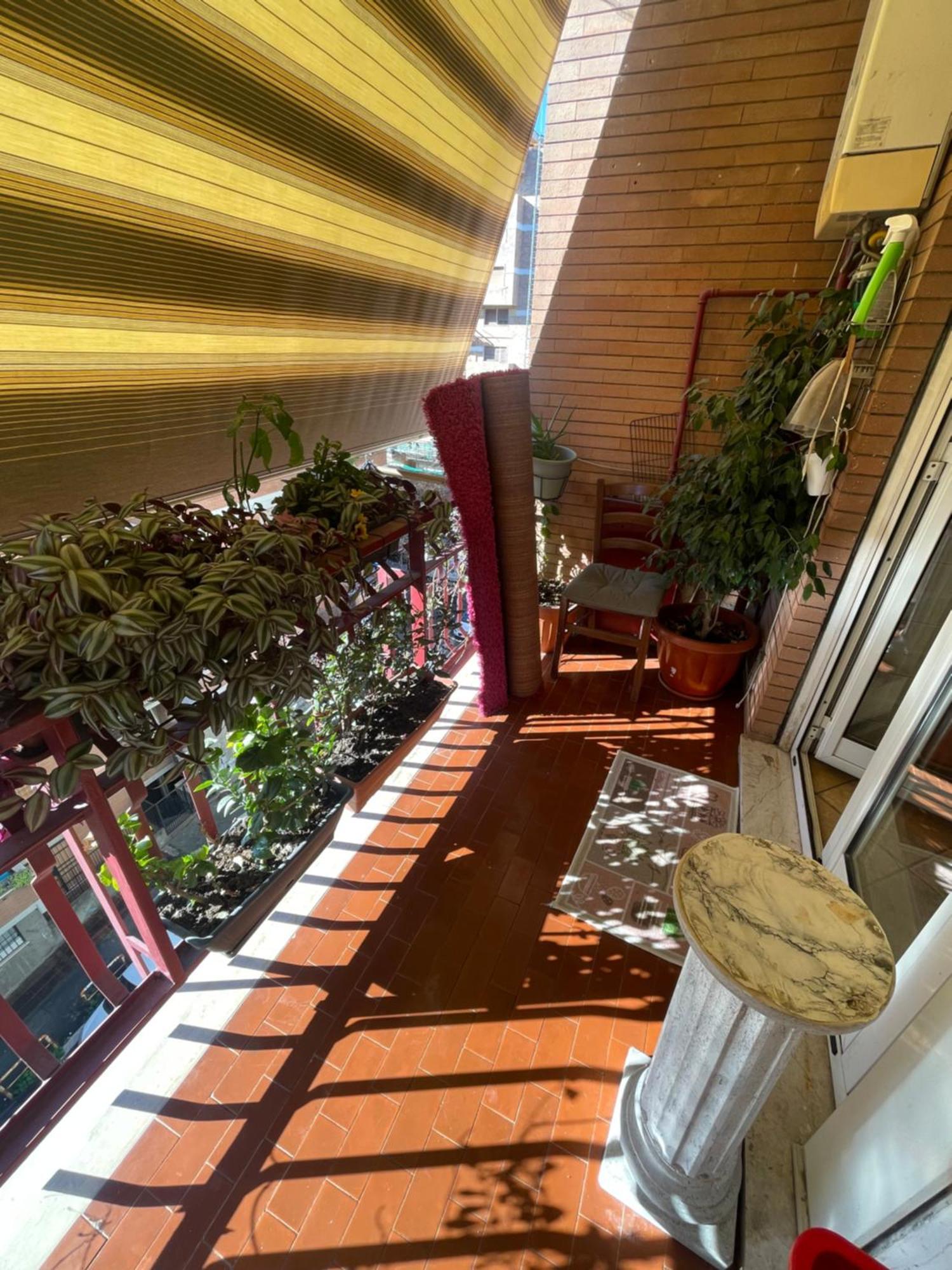 Apartment Exotic