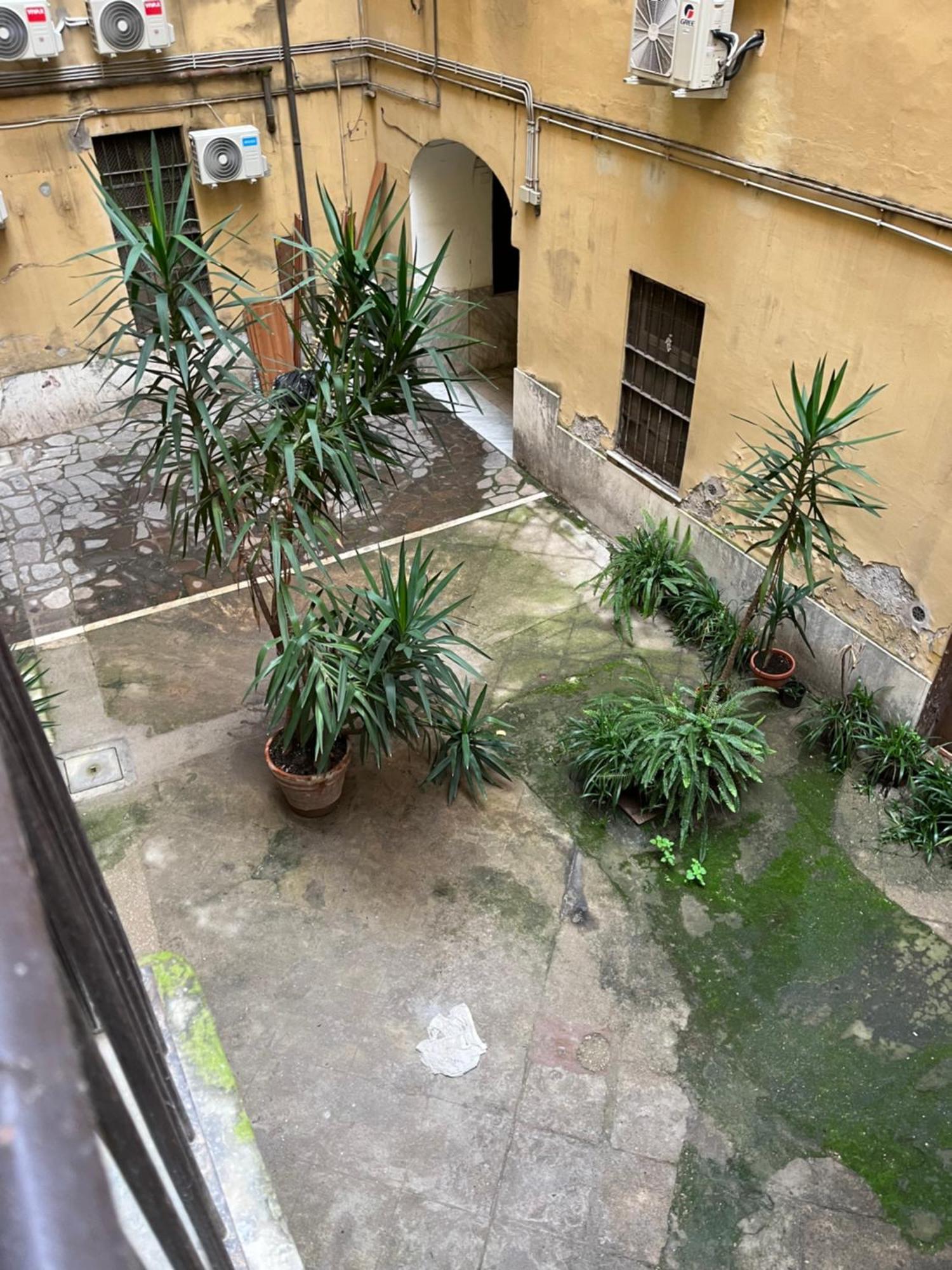 Kira Luxury With Terrace Apartment Rom