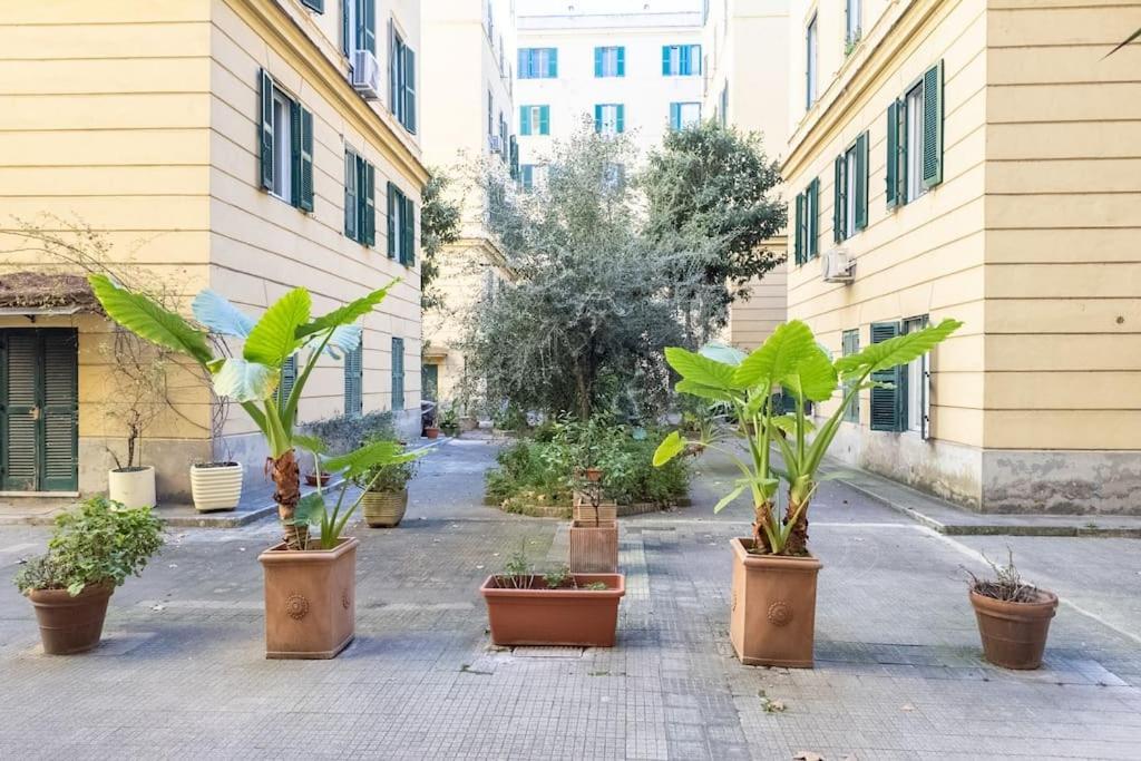 Apartamento New! Giulio Cesare