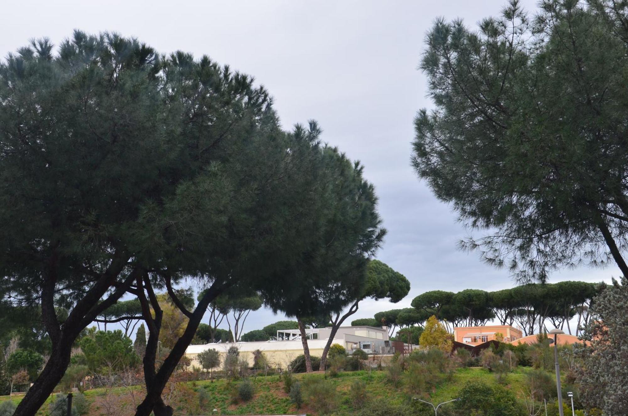 Appartamento Casa Luna *