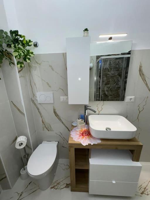 Romafatata: Intero Apartamento