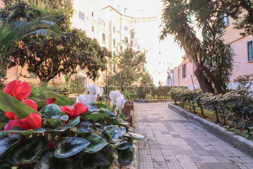 Apartamento Vaticano - Nuovo