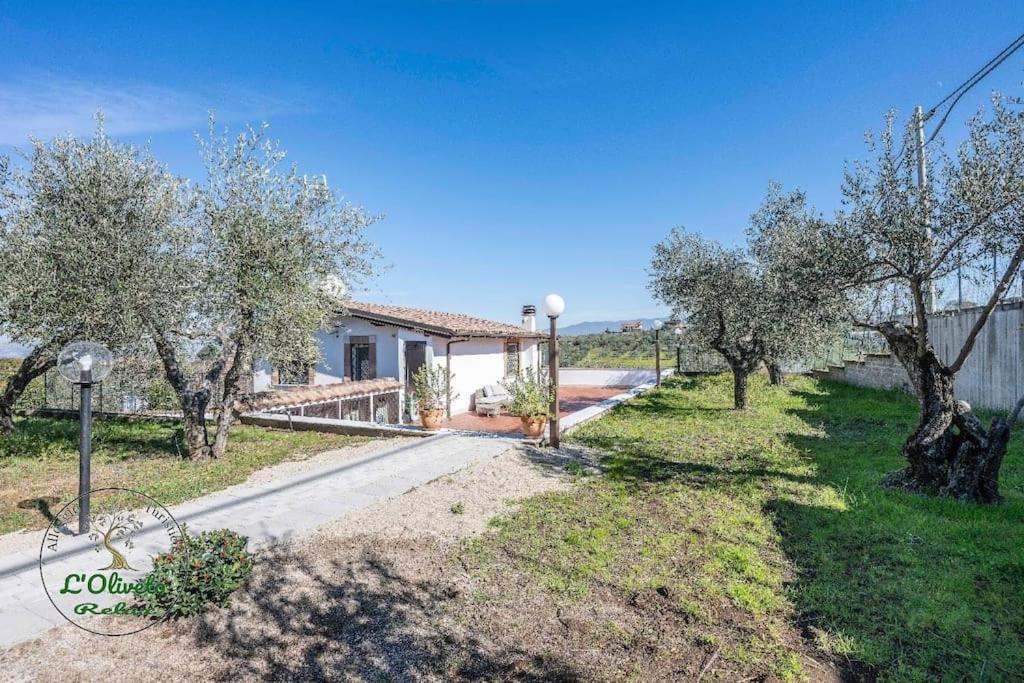 Oliveto Relax Turistico Leilighet Roma