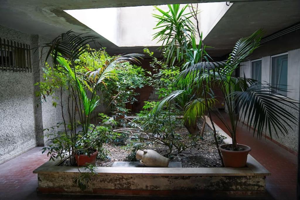 Apartamento San Peter View