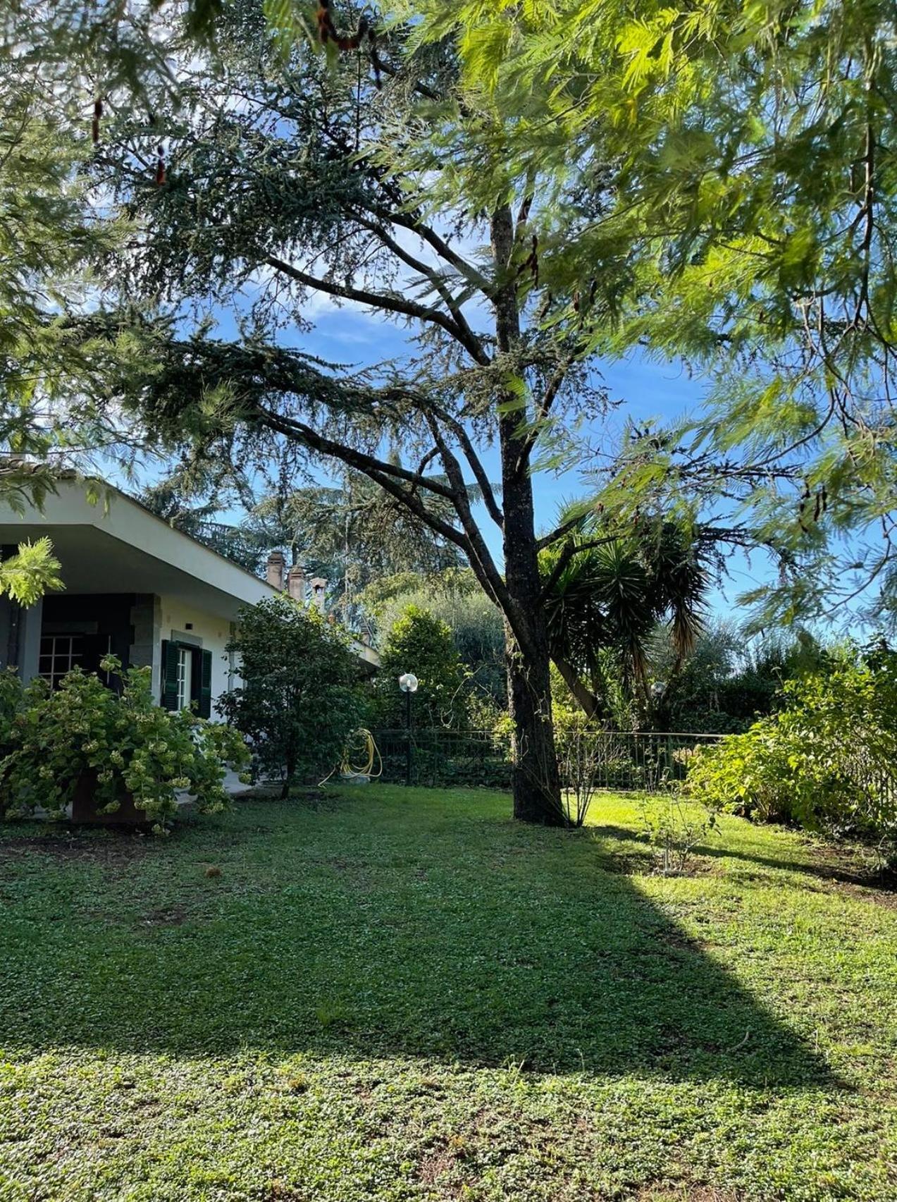 Delightful Stylish House With Private Garden Close To Downtown Ferienhaus *