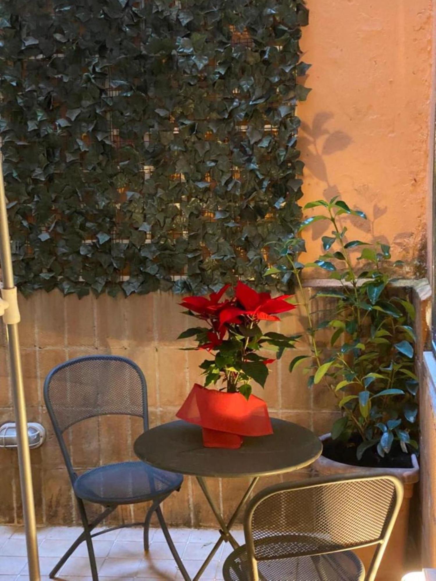 Navona Domitia Apartamento *