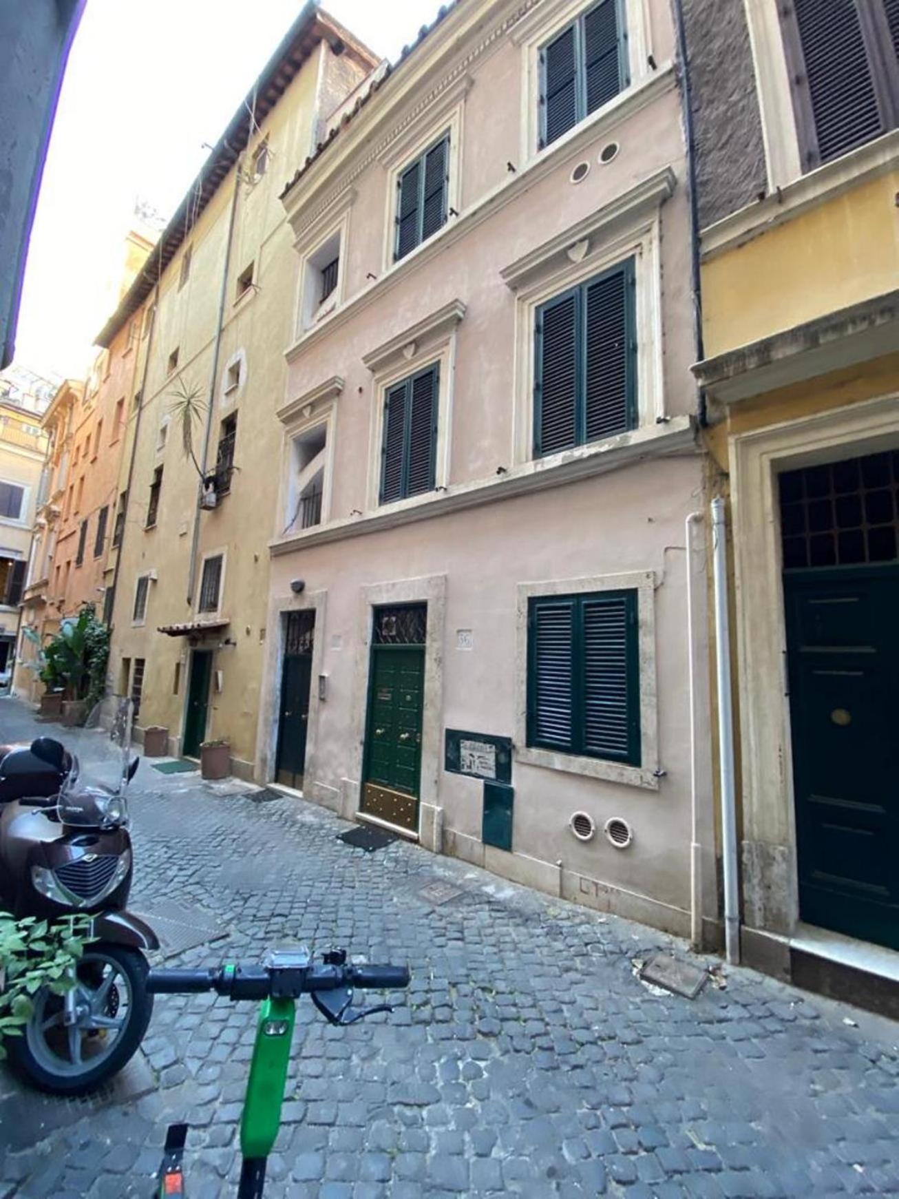 Navona Viola