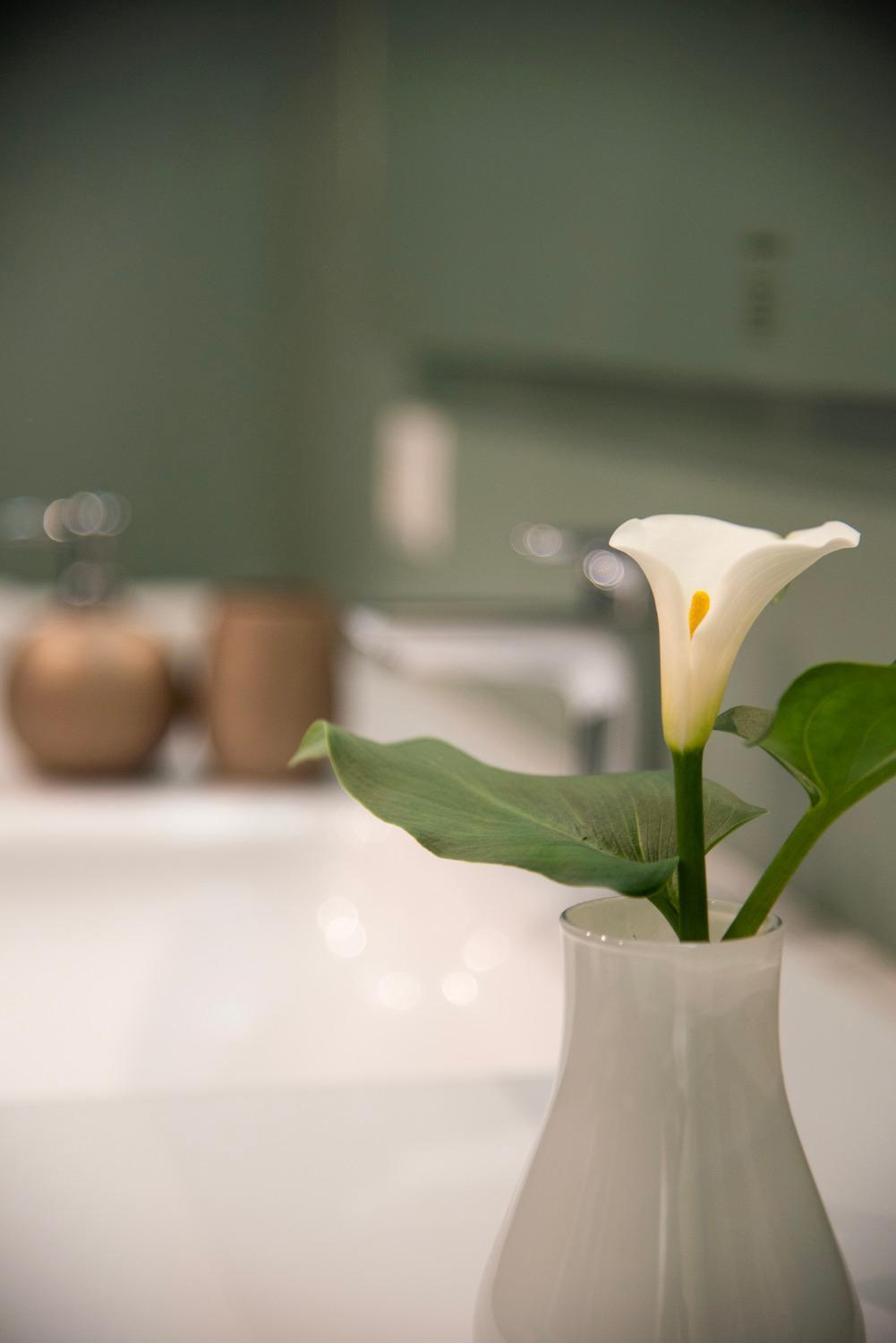 Apartamento House Domusella *