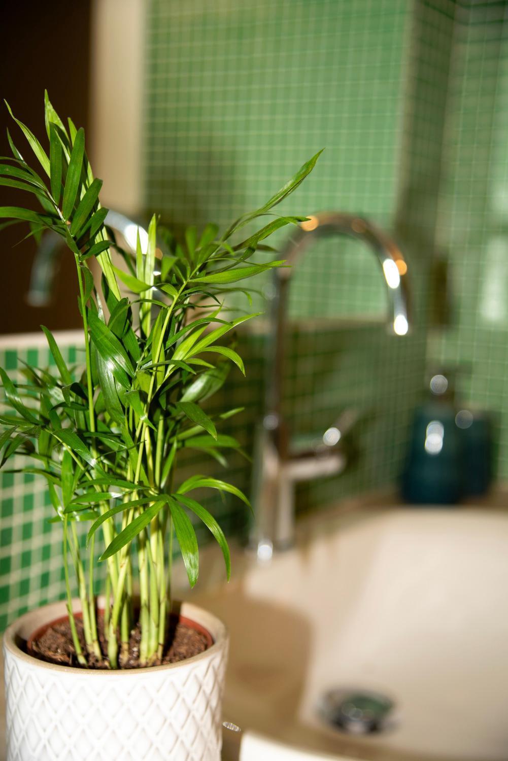 Apartamento House Domusella