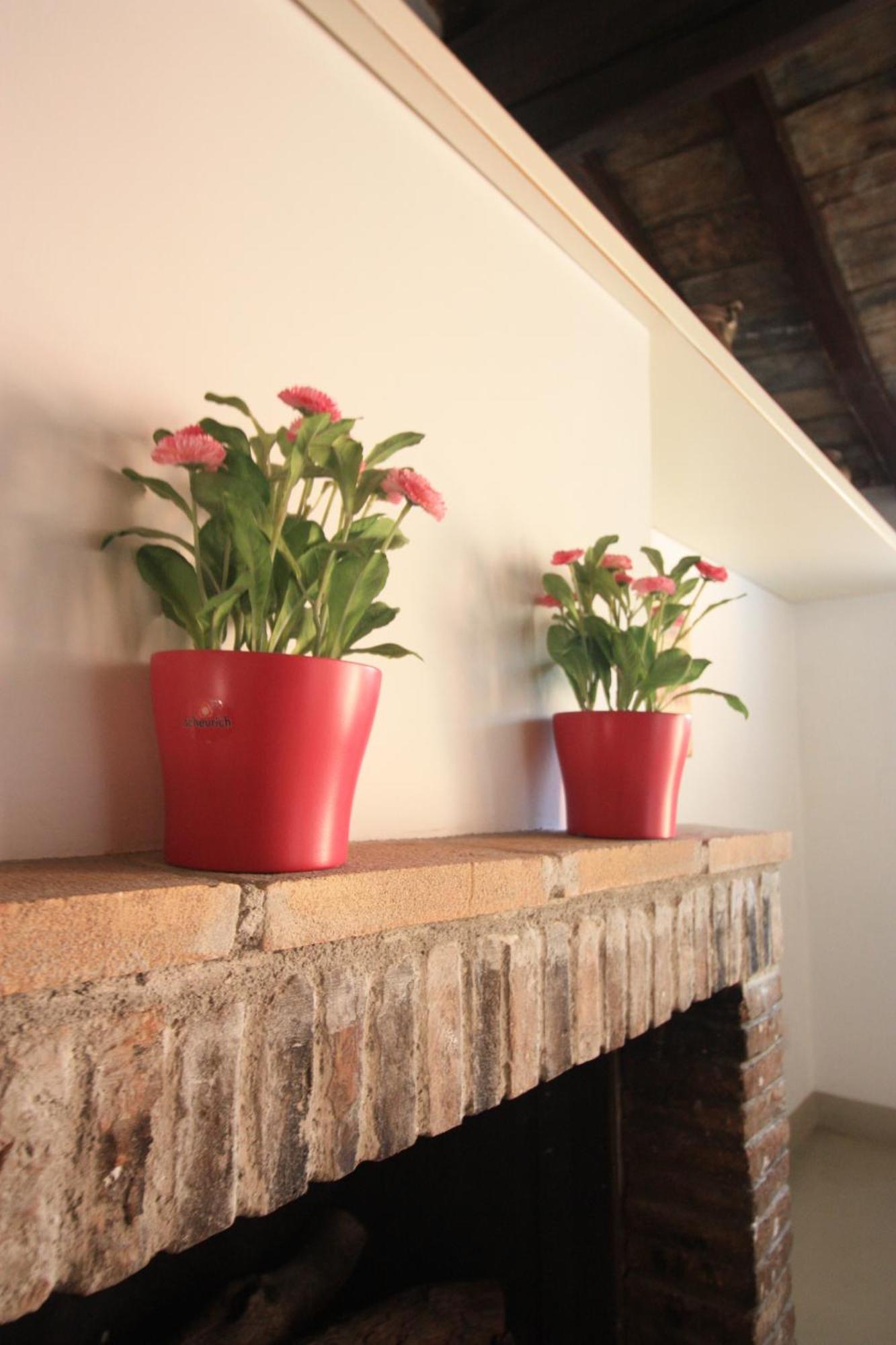 Bed & Breakfast Calisto 6 Roma