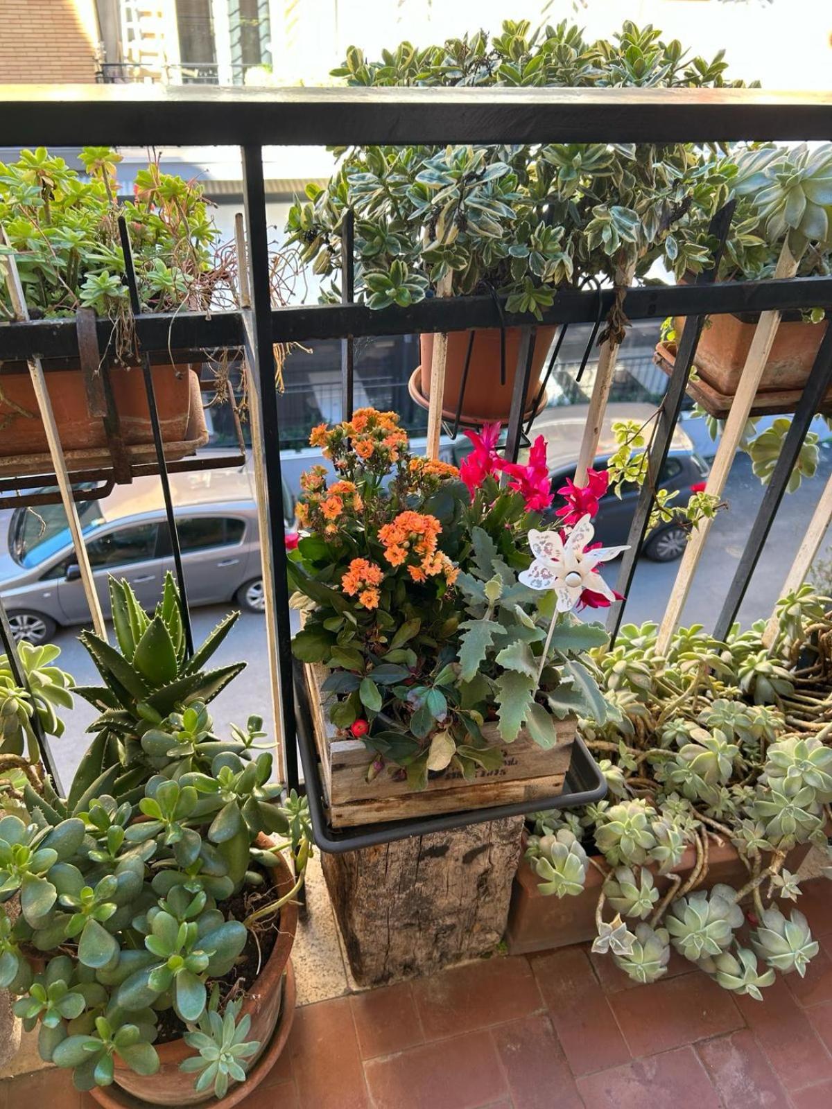 Semini Di Nostalgia Apartment *