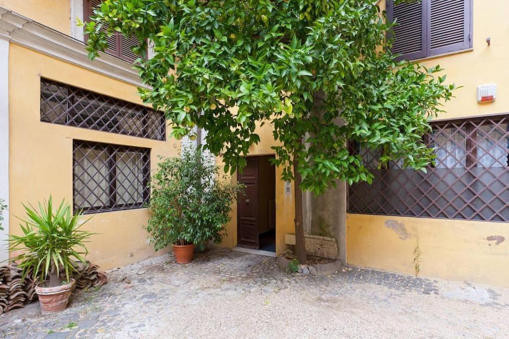 Apartment Discover The Pantheon From The Berardi Flat