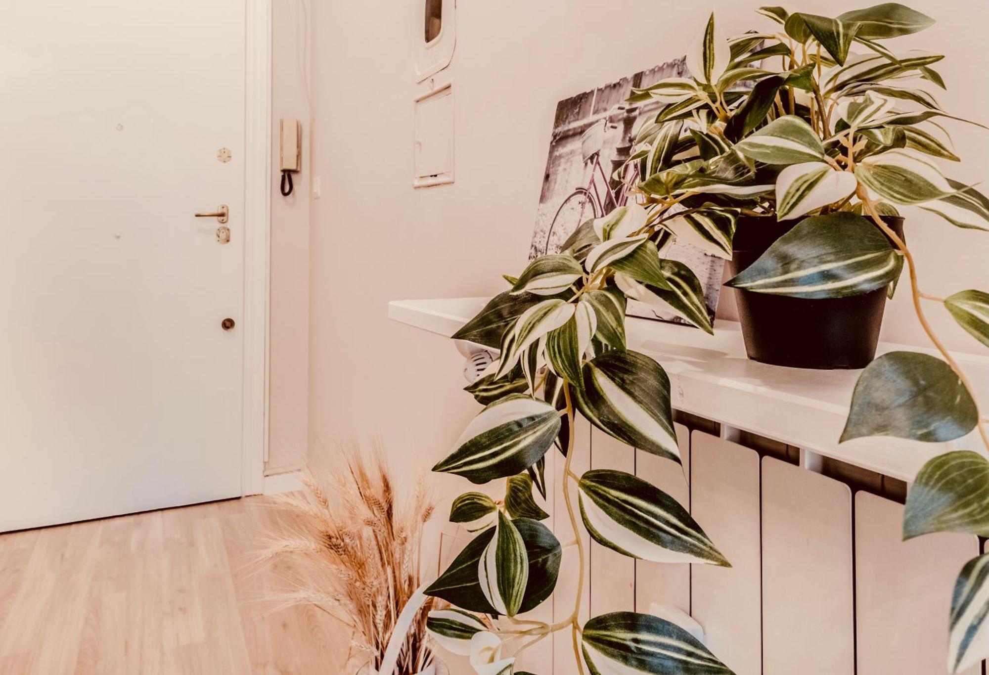 Domus Eleonora Apartamento Roma
