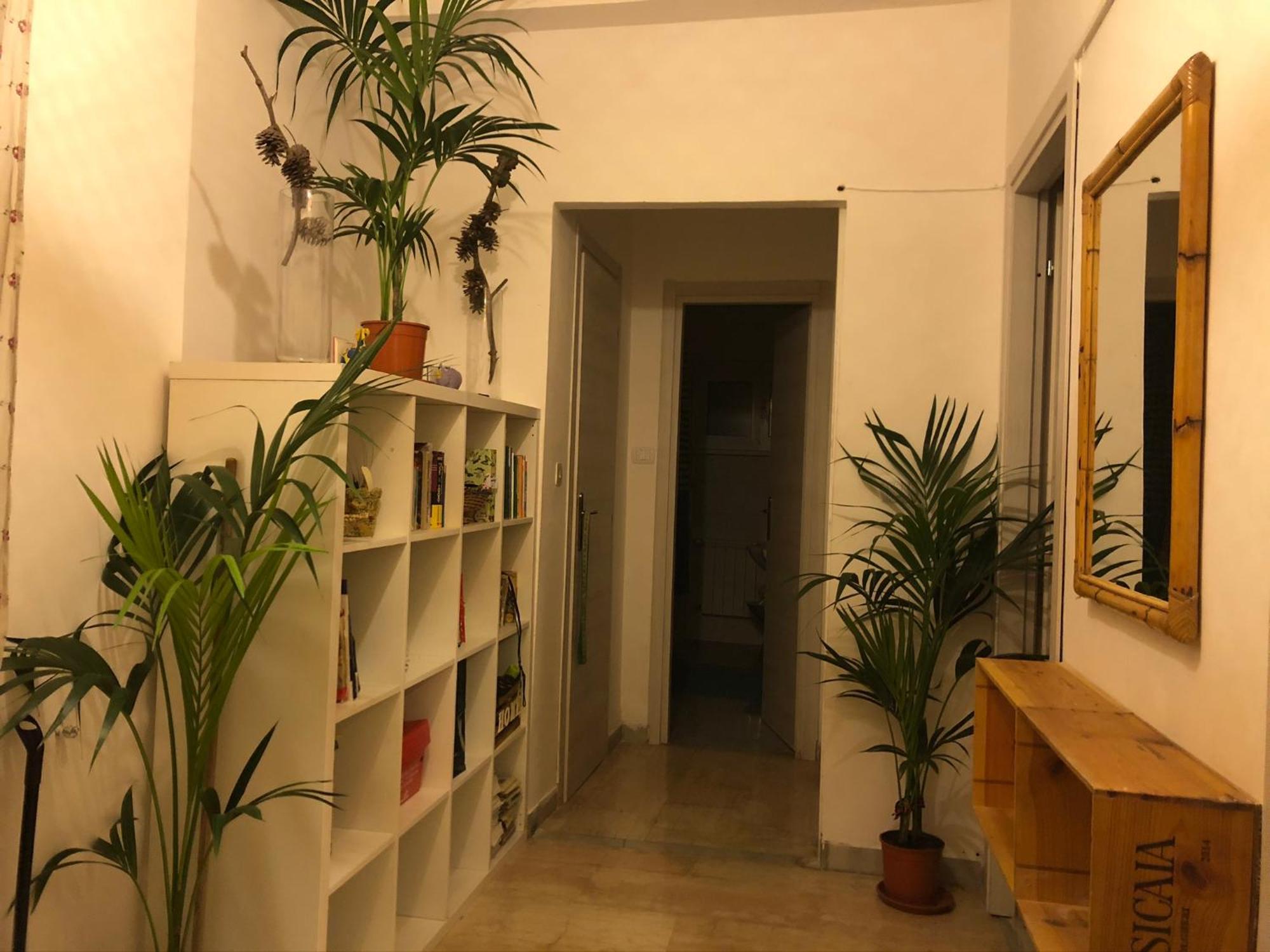 Lizartgarden Panoramic * Roma