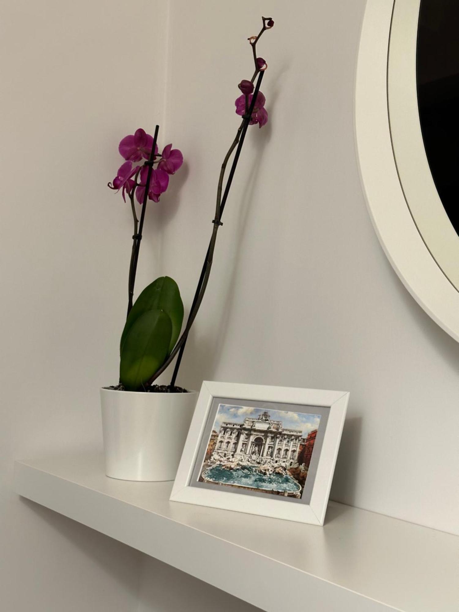 Trithome Boutique Barberini Rom