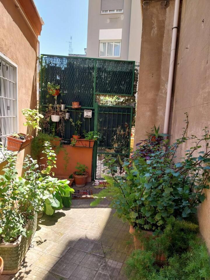 Leilighet Il Giardino Di Marimar *