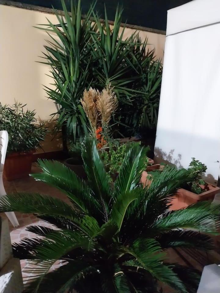 Il Giardino Di Marimar Leilighet *