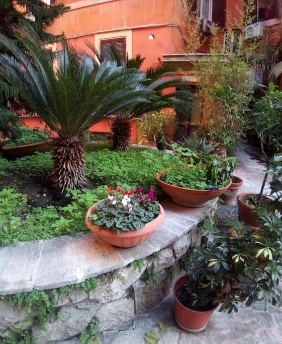 Grazioso Ai Musei Vaticani Apartamento Roma