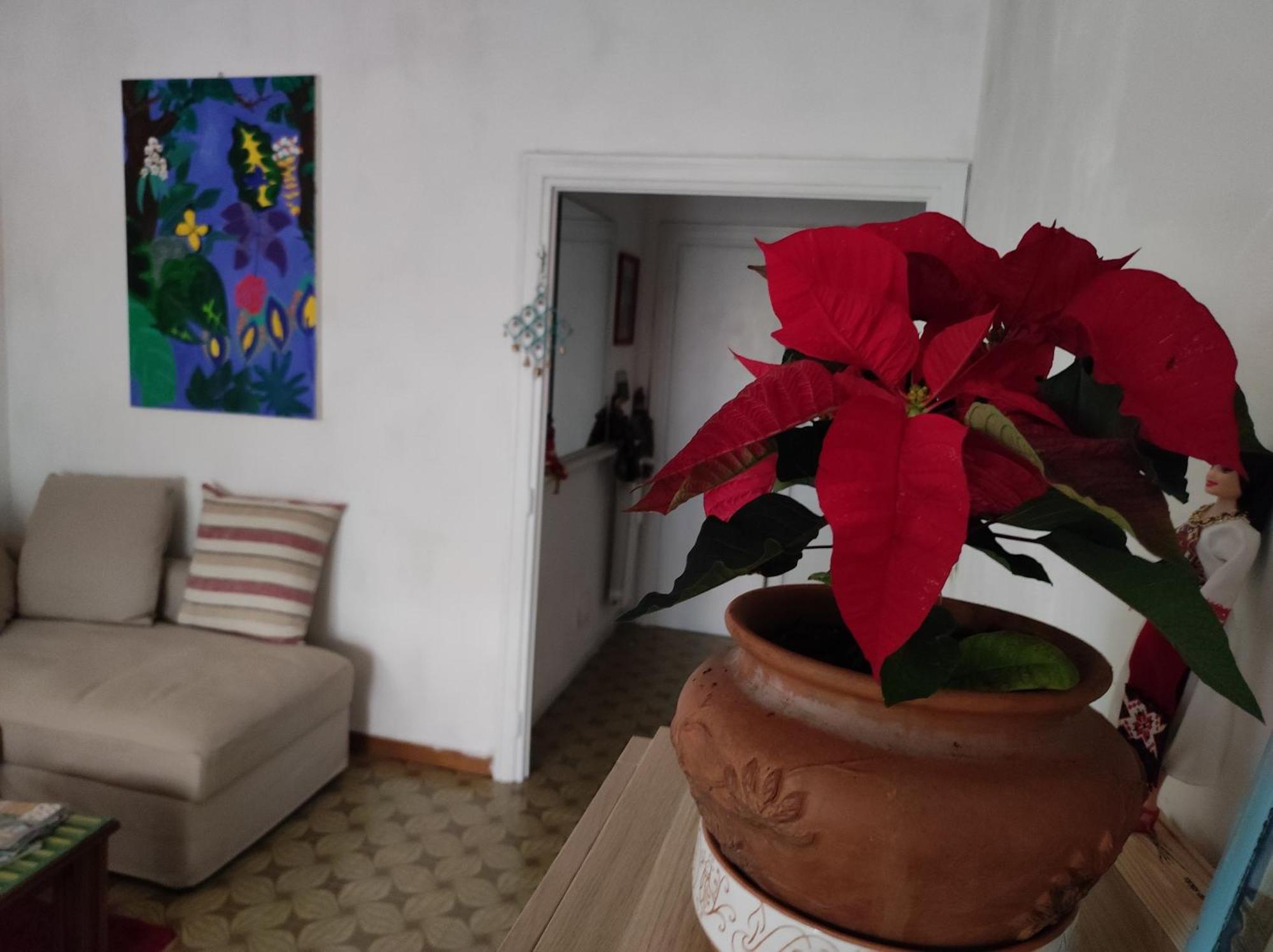 Apartamento Terrazza Di Ernesto Roma