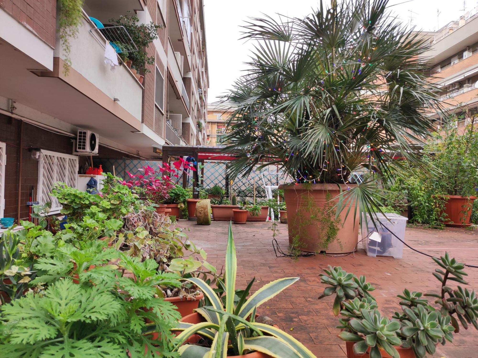 Apartamento Terrazza Di Ernesto Roma