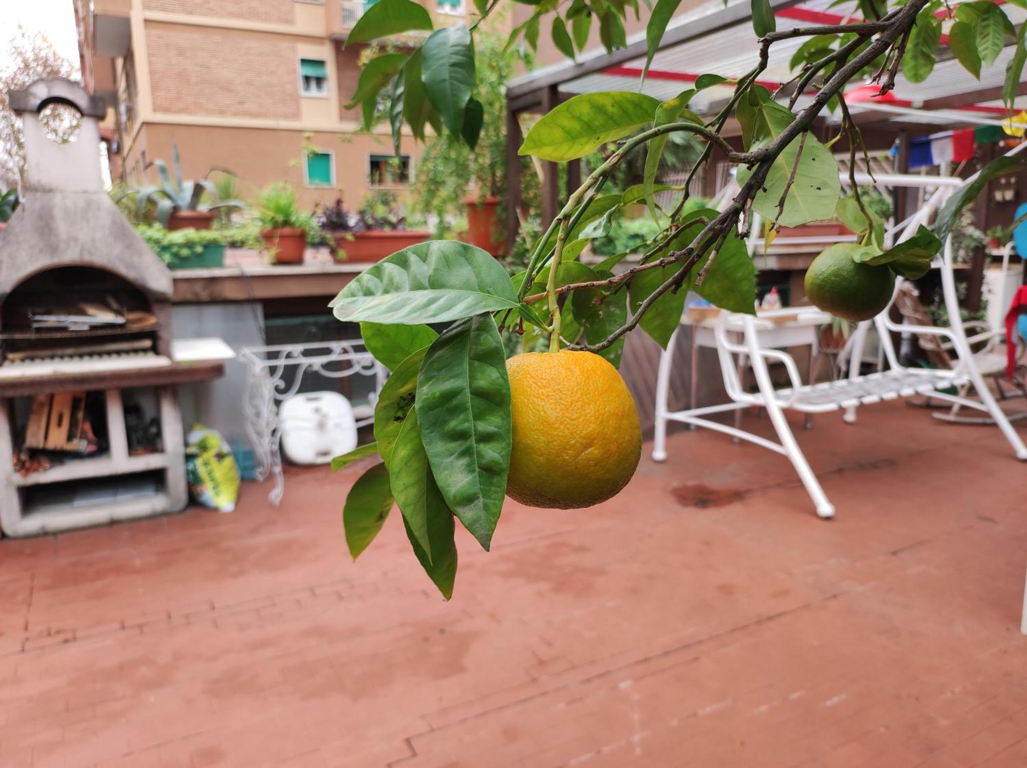 Terrazza Di Ernesto Roma