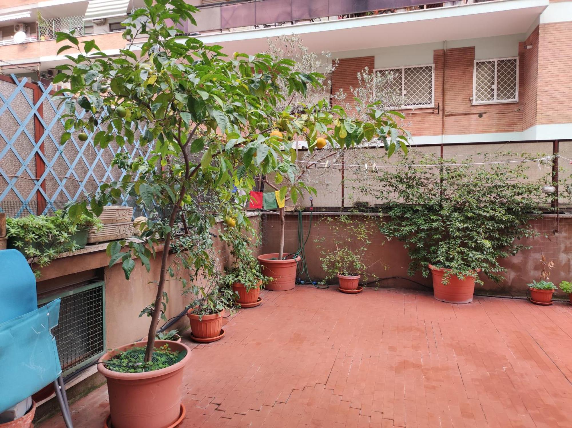 Apartamento Terrazza Di Ernesto *