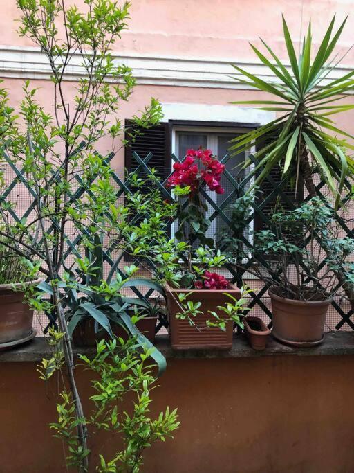 Apartamento Centro Storico Con Terrazza *