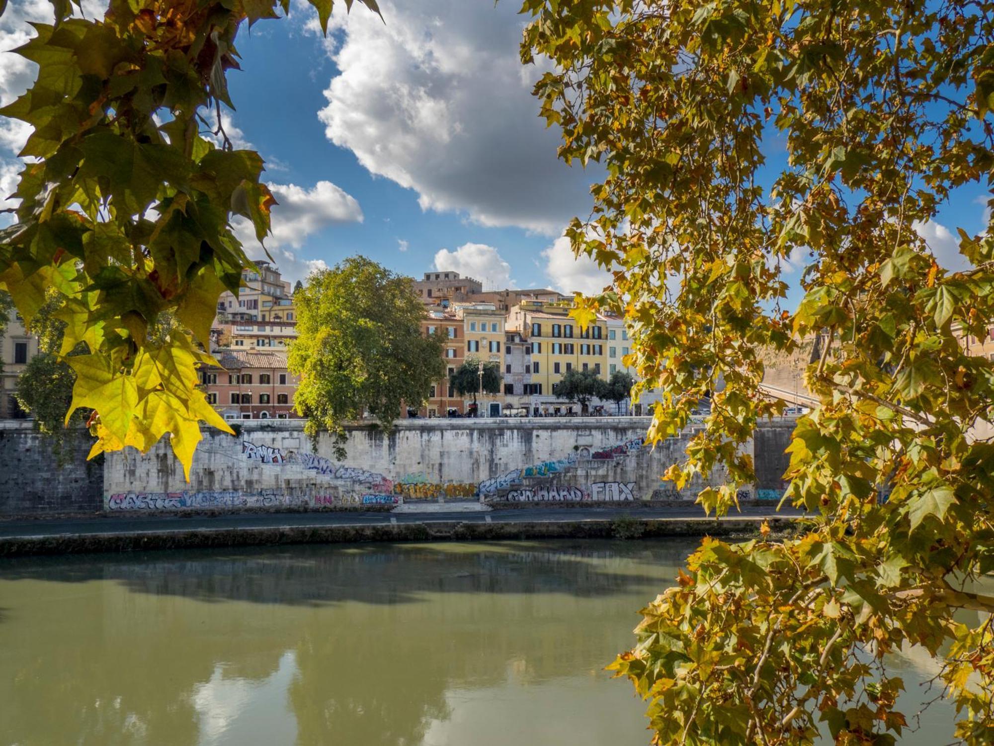 River View